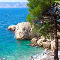 КРАСНОДАРСКИЙ КРАЙ 2022